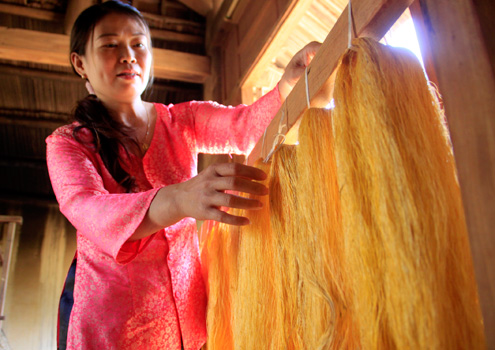 300 year-old silk village in middle of Hoi An ancient town